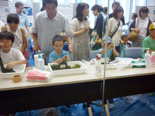 Children learning about wakame seaweed, of which Iwate is one of the top producers in the nation