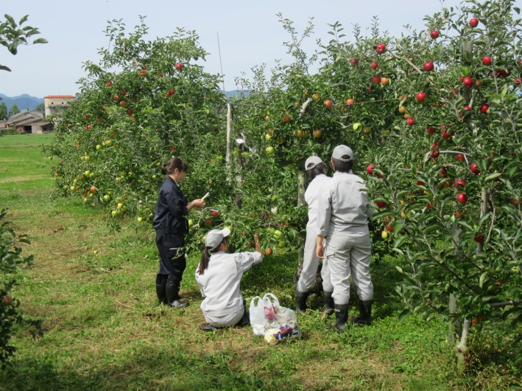 Together in the orchard