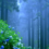 The Magic of Michinoku Hydrangea Garden throughout Summer